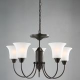 5 Light Glass Chandelier (BR1014)