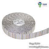 360LED 2color Strip Light