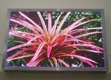 LED Full Color Display