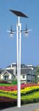 Solar Garden Light (OEM is acceptable)
