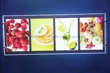 Double Side Poster Display Board LED Backlit Advertising Light Box