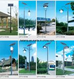 Various LED Solar Garden Light IP65