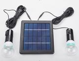 Two Bulb 6V 3W Solar LED Light