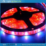 SMD5050 Flexibele LED Strip Light for Decoration 5m/Roll 12V