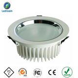 15W High Brightness LED Down Light (Bridgelux LED)