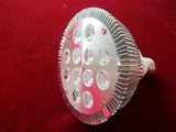 LED Spot Light