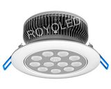 9W LED Ceiling Light (RY-TQ1189-001)