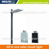 Garden Path Road Integrated Solar LED Light