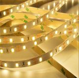 2 Years Warranty SMD 2835 Flexible LED Strip Light