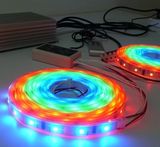 LED Neon Flex Strip Light