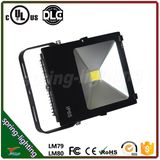 30W Flood Light