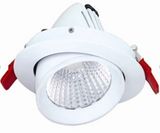 160mm 24W Adjustable LED Down Light