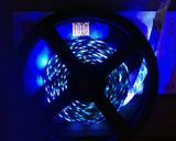 Ultraviolet Light 2835 IP20 LED Strip