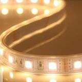 LED 230V / 110V 5050SMD LED Strip Light LED Light