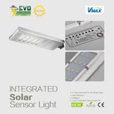 High Quality 55W LED Solar Garden Light/Solar Street Light