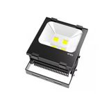 IP65 100W COB Bridgelux CE/UL Driver Outdoor LED Flood Light (BSFL-1)