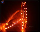 SMD 5050 Non-Waterproof 12V/2V LED Strip Lights