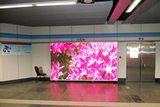 P6 Indoor Full Color LED Display/LED Display