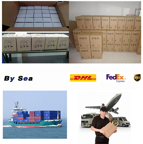10W E27 B22 A60 A19 Aluminum LED Bulb (CE RoHS)
